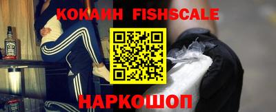спиды Камышлов