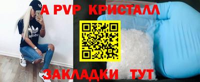 спиды Камышлов