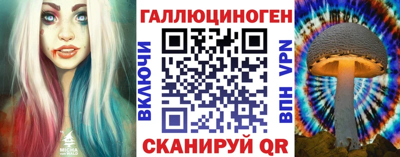 Псилоцибиновые грибы Psilocybine cubensis  Северобайкальск 