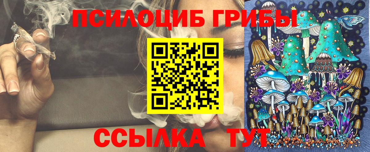 Псилоцибиновые грибы прущие грибы  купить наркотик  Северобайкальск 