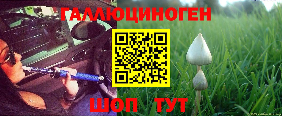 Псилоцибиновые грибы мухоморы Северобайкальск