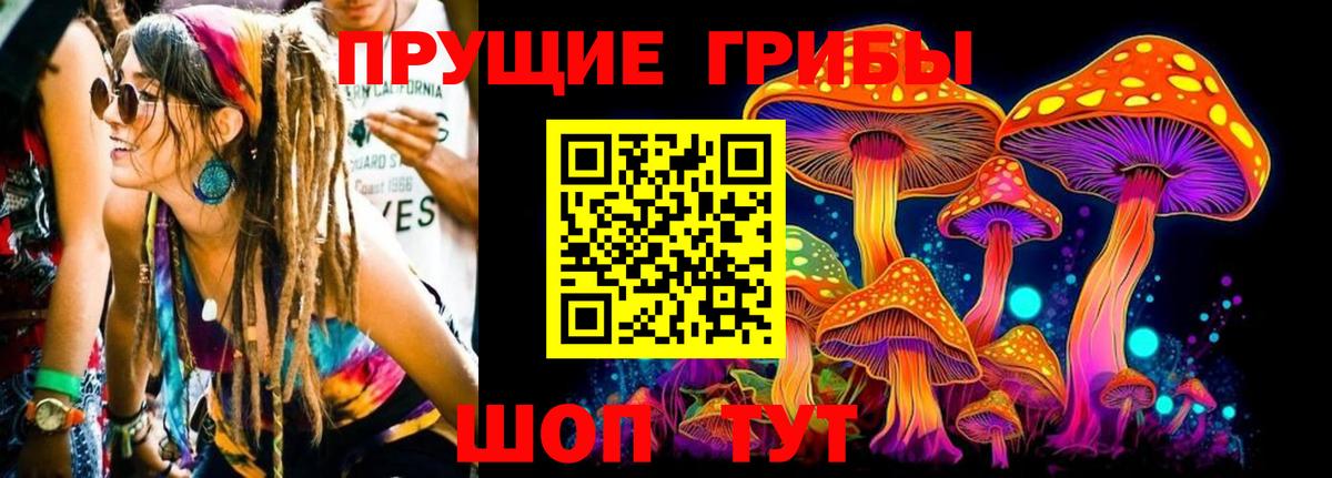 Галлюциногенные грибы прущие грибы Северобайкальск