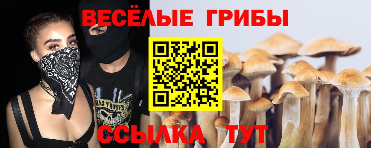 Северобайкальск  Галлюциногенные грибы Psilocybine cubensis  Вход с VPN 